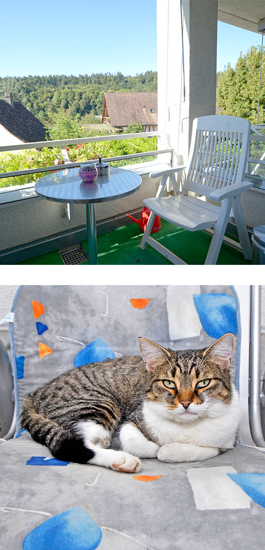 Balkon und Hauskatze