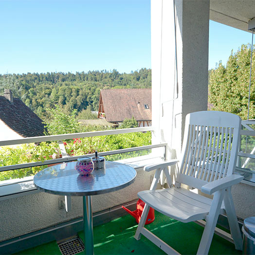 Balkon und Hauskatze